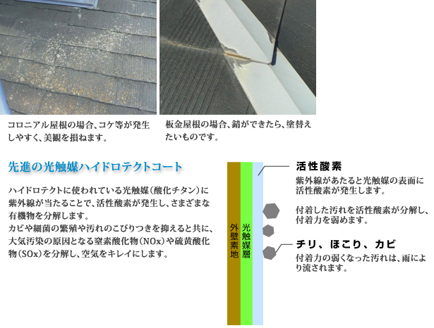 ロニアル屋根の場合、コケ等が発生しやすく、美観を損ねます。板金屋根の場合、錆ができたら、塗替えたいものです。